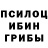 Галлюциногенные грибы прущие грибы Lyrk Bashen