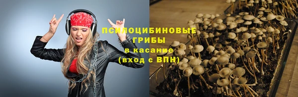 прущие крисы Балахна